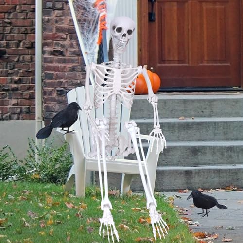 Wocst 6Ft Life Size Posable Skeleton with Movable Joints for Halloween Decor Y682720