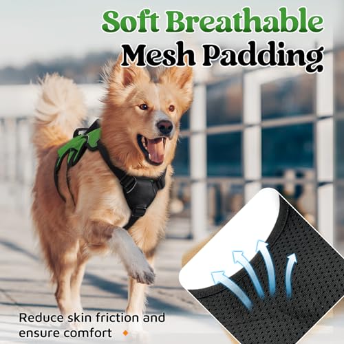 rabbitgoo Escape Proof Dog Harness, Soft Padded Reflective No Pull Vest, Large Dogs, S, Black S398647