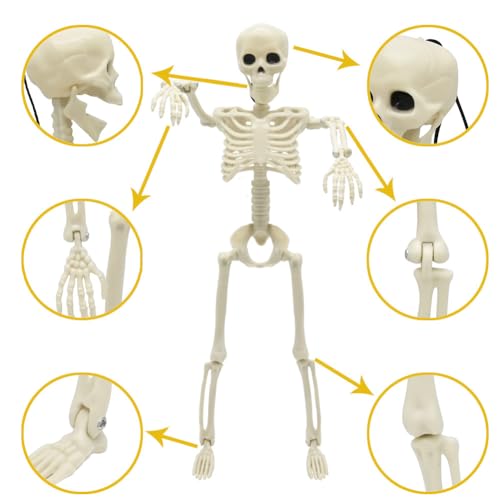 Life Size Skeleton with Posable Joints for Halloween Decor R4204