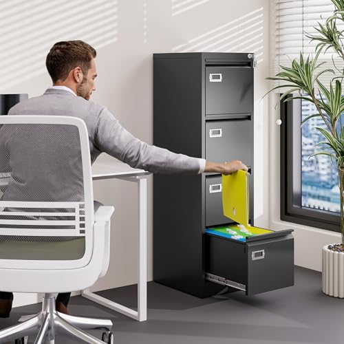 2 Drawer Vertical File Cabinet with Lock for Letter Size, Steel Office Storage Y50014