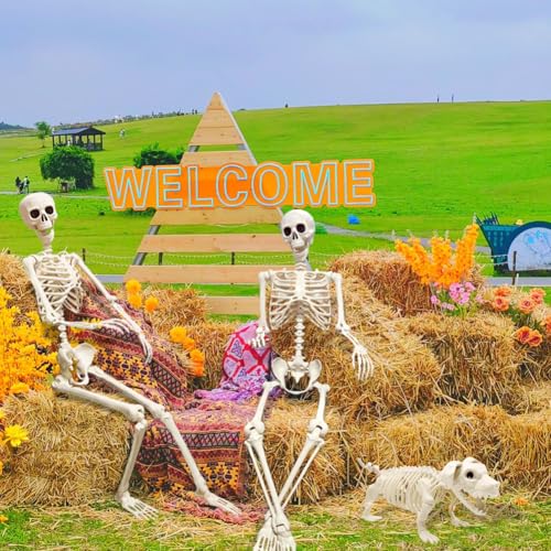 UMEELR 5.9FT Poseable Life Size Skeleton for Halloween Decoration B873000
