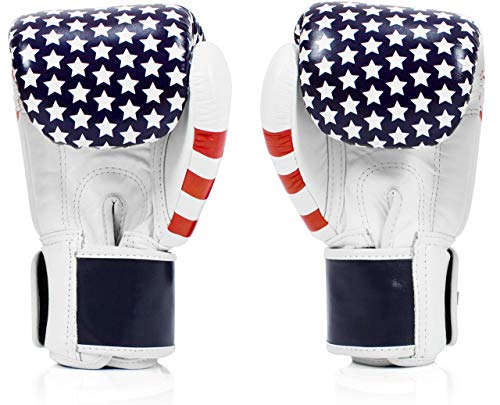 Fairtex BGV1 Muay Thai Boxing Training Sparring Gloves U66399