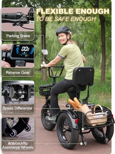 Folding Electric Tricycle for Adults, 1200W, 450lbs Load, UL Certified N810
