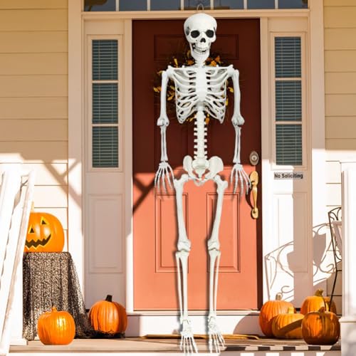 Life Size Skeleton with Posable Joints for Halloween Decor R4204