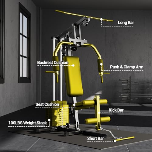 Home Gym Machine with 100LBS Weight Stack, Full Body Workout Station F6223