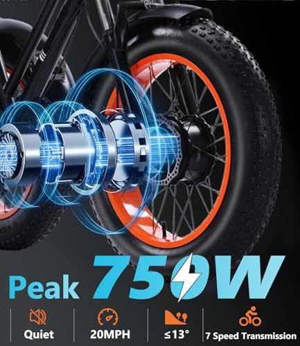Electric Tricycle for Adults, 750W, Folding Fat Tire, 48V Removable Battery O76597