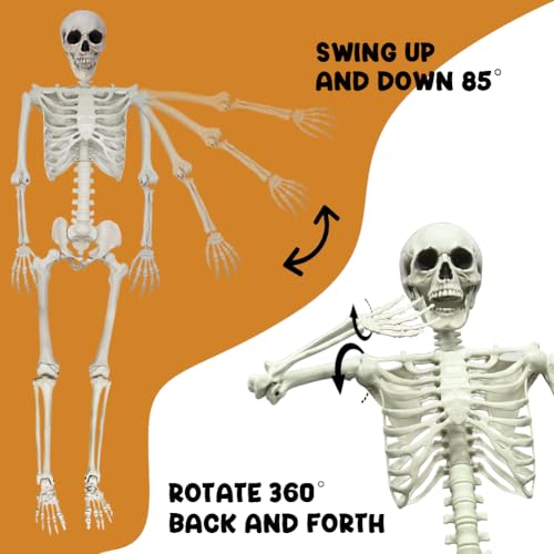 UMEELR 5.9FT Poseable Life Size Skeleton for Halloween Decoration B873000