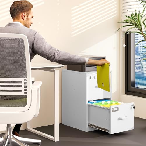 2 Drawer Vertical File Cabinet with Lock for Letter Size, Steel Office Storage Y50014