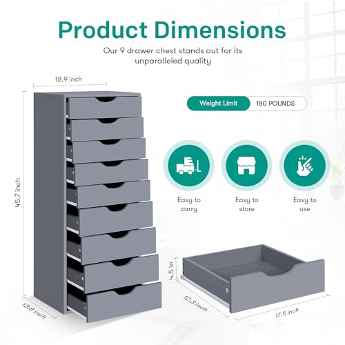 Naomi Home Bianca 9 Drawer Chest, Wood Dresser, Gray G431145