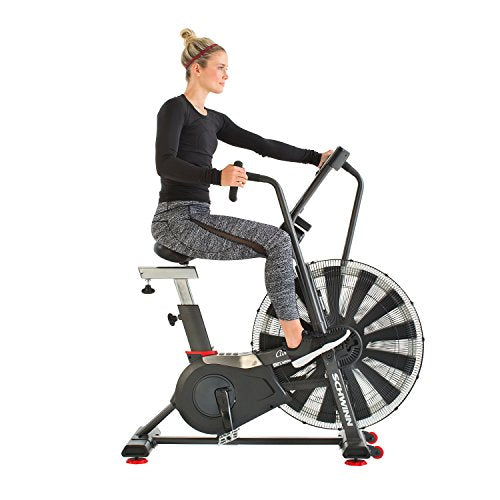Schwinn Airdyne Bike Series D8174