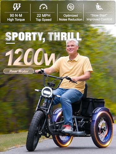 Folding Electric Tricycle for Adults, 1200W, 450lbs Load, UL Certified N810