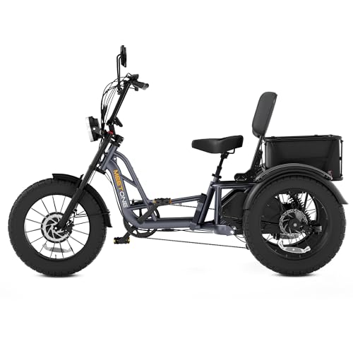 Folding Electric Tricycle for Adults, 1200W, 450lbs Load, UL Certified N810