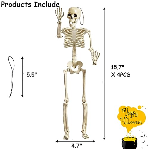 Life Size Skeleton with Posable Joints for Halloween Decor R4204