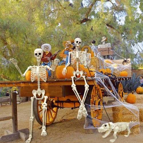 UMEELR 5.9FT Poseable Life Size Skeleton for Halloween Decoration B873000