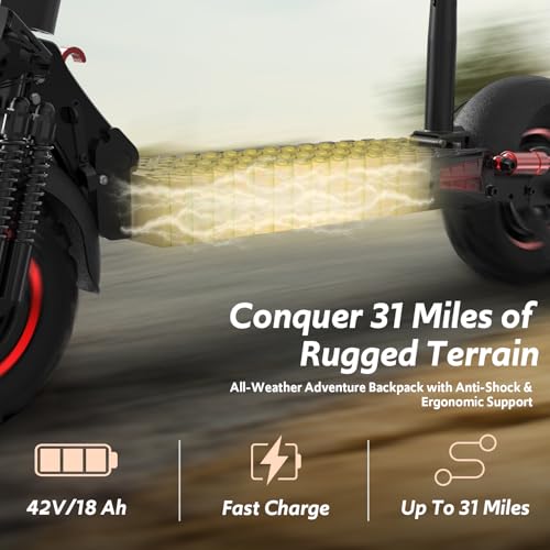 Off Road Electric Scooter Adults 800W 48V 11" All-Terrain Tires Dual Suspension B277