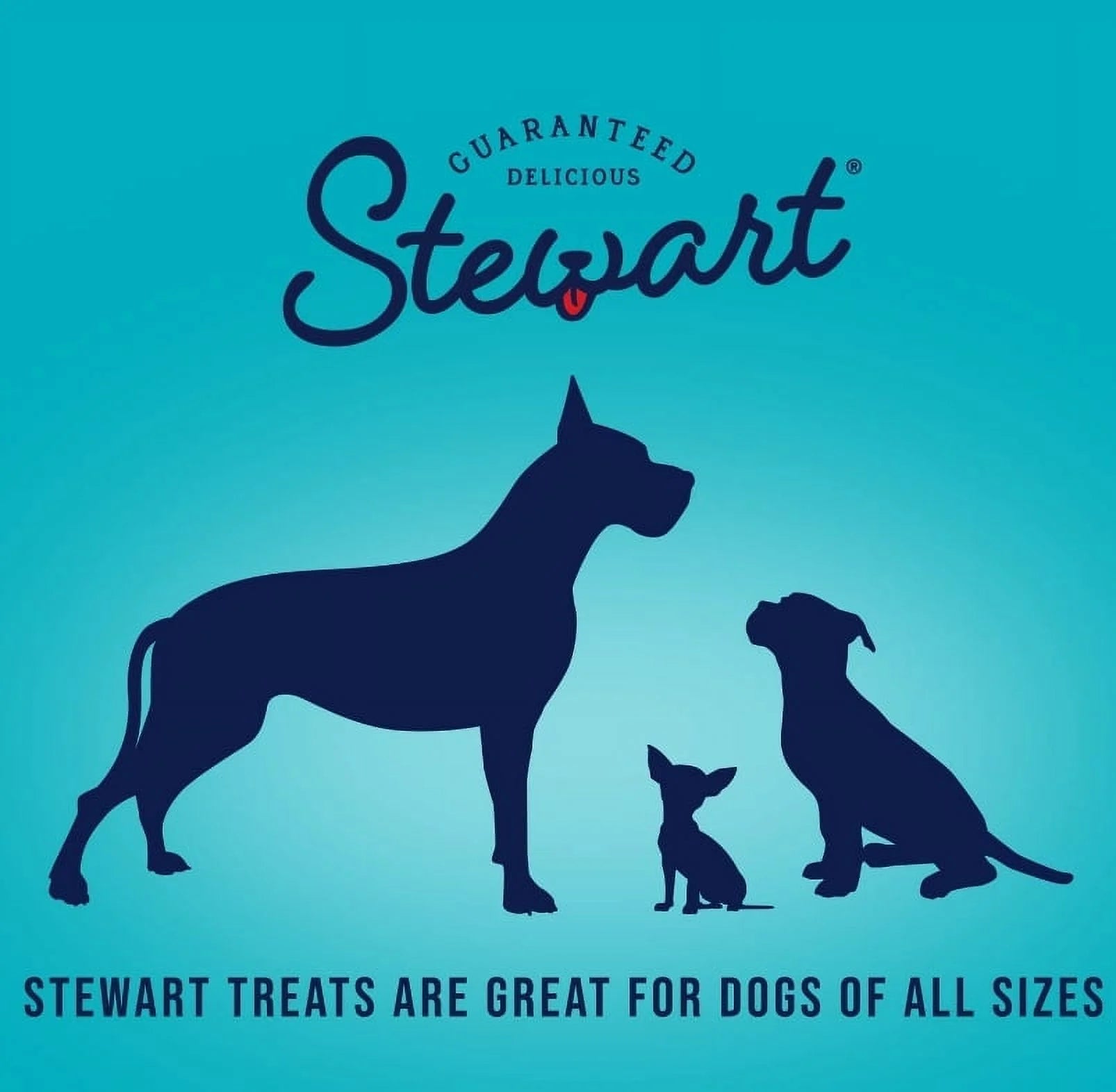 Stewart Freeze Dried Beef Liver Treats E4348