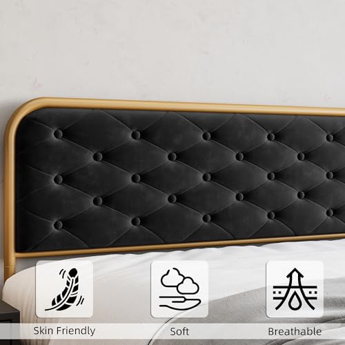 GAOMON Queen Size Bed Frame with Button Tufted Curved Headboard, Velvet Upholstered Platform Bed, Gold-Black Z671