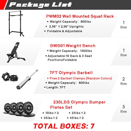 RitFit Multi-Functional Folding Squat Rack for Home Gym, Wall Mounted with Attachments V171188