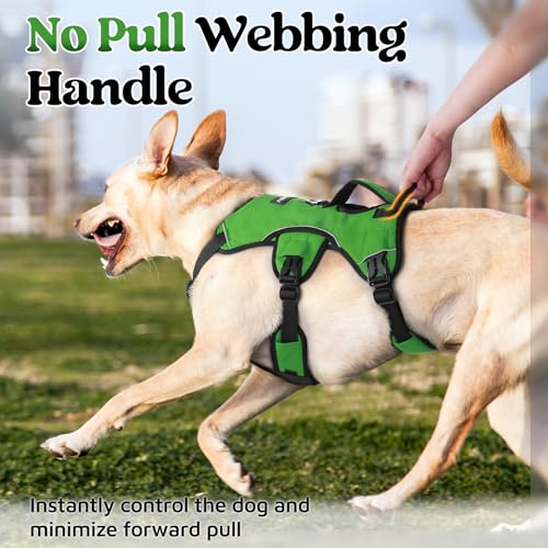 rabbitgoo Escape Proof Dog Harness, Soft Padded Reflective No Pull Vest, Large Dogs, S, Black S398647