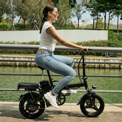 Folding Electric Bike for Adults with Removable Battery P213045