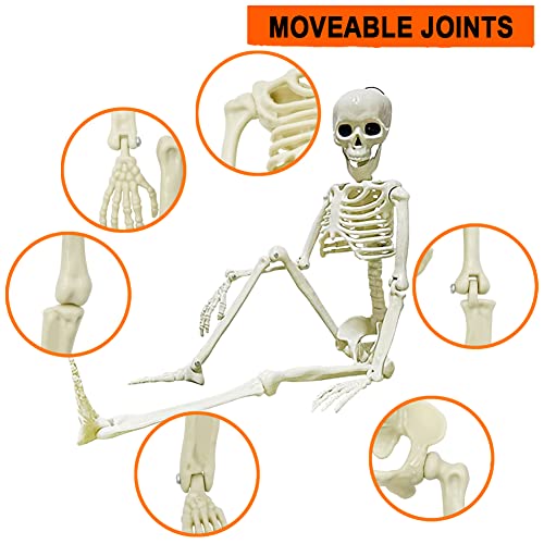 UMEELR 5.9FT Poseable Life Size Skeleton for Halloween Decoration B873000