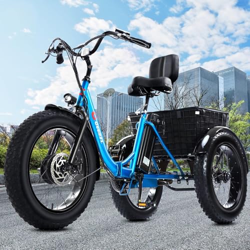 Electric Tricycle for Adults, 20" x 4.0 Fat Tire, 750W, Foldable 3-Wheel, Blue M791