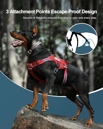 FAYOGOO Tactical Dog Harness for Large Dogs, Mesh Breathable with Handle T66550