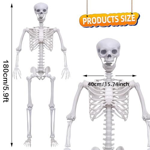 Halloween Life Size Posable Skeleton Full Body Plastic Decoration A932