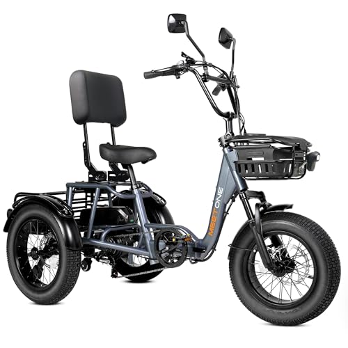 Folding Electric Tricycle for Adults, 1200W, 450lbs Load, UL Certified N810