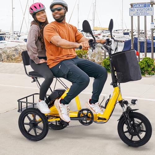 Foldable Electric Tricycle for Adults, 350W, Removable Battery, 2-Seat with Basket E2471