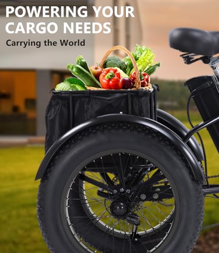 Electric Tricycle for Adults, 750W, Folding Fat Tire, 48V Removable Battery O76597