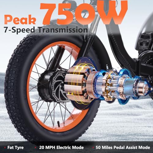 Electric Tricycle for Adults, 750W, Folding Fat Tire, 48V Removable Battery O76597