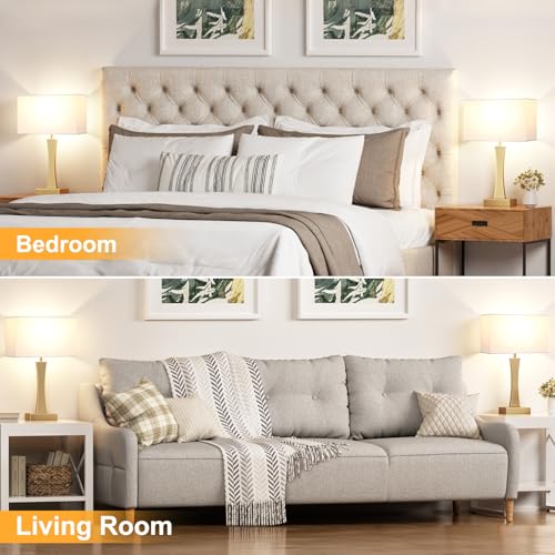 3 Way Dimmable Bedside Lamp Set of 2 with USB Ports C63781