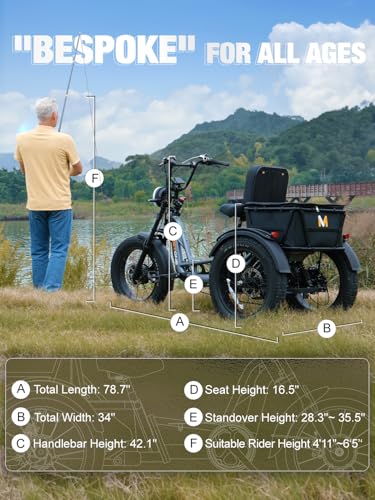 Folding Electric Tricycle for Adults, 1200W, 450lbs Load, UL Certified N810