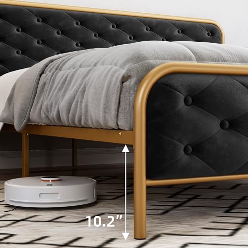 GAOMON Queen Size Bed Frame with Button Tufted Curved Headboard, Velvet Upholstered Platform Bed, Gold-Black Z671