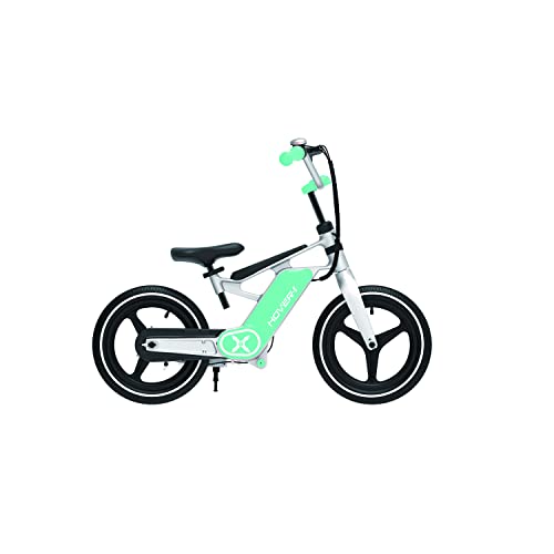 Hover-1 My First E-Bike for Kids 8+, 14" Pneumatic Tires, LED Display B4710