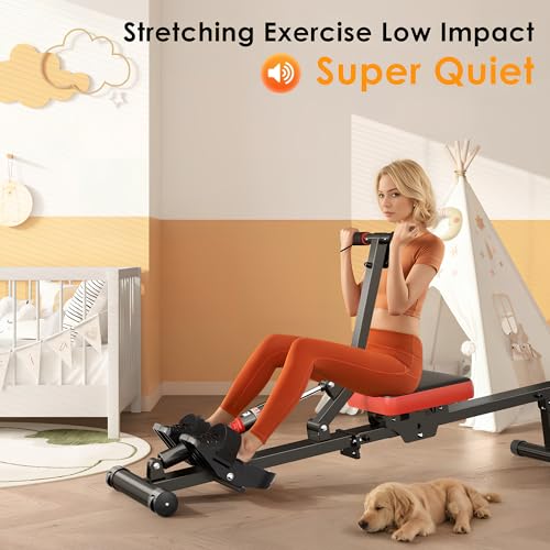 SogesGame Rowing Machine with 12 Levels Resistance, Digital Monitor, Home Gym Equipment C740