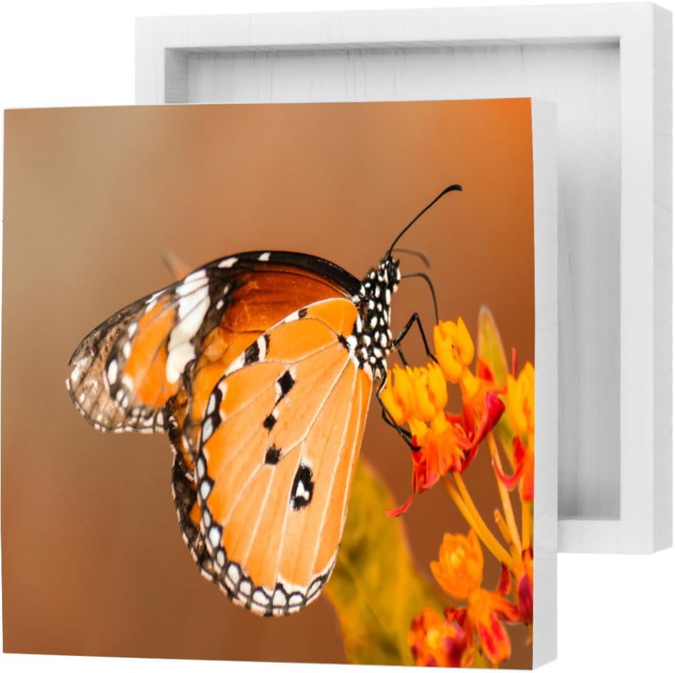 Inspirational Wood Box Sign Motivational Desk Decor 7x7 Inch C4413