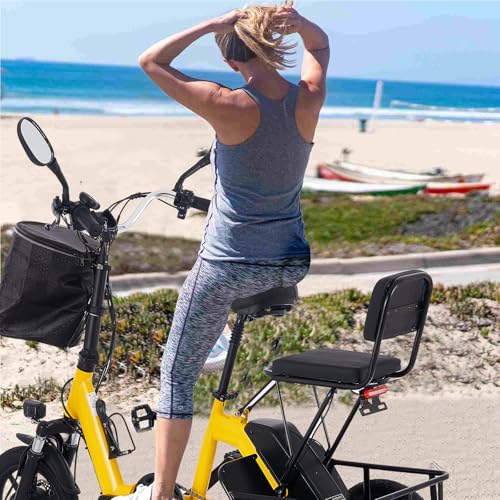 Foldable Electric Tricycle for Adults, 350W, Removable Battery, 2-Seat with Basket E2471