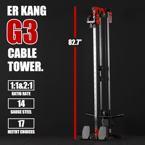 ER KANG Wall Mount Cable Station with Dual Pulley System for Home Gym Q918872
