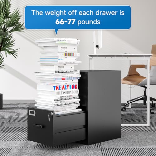 2 Drawer Vertical File Cabinet with Lock for Letter Size, Steel Office Storage Y50014