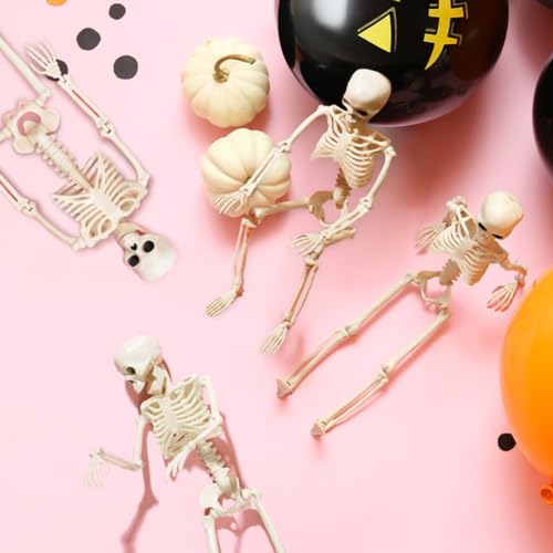 Life Size Skeleton with Posable Joints for Halloween Decor R4204