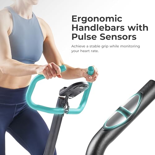 Sunny Health & Fitness Stair Stepper with Handlebar for Leg, Core and Glute Workouts R18169