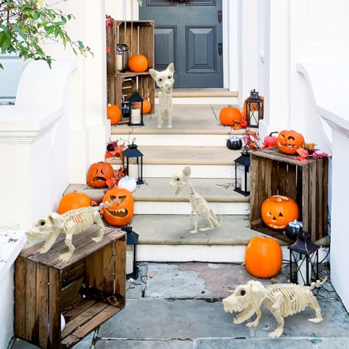 UMEELR 5.9FT Poseable Life Size Skeleton for Halloween Decoration B873000
