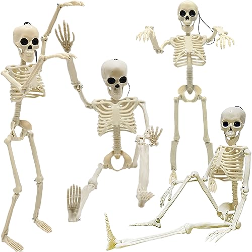 Life Size Skeleton with Posable Joints for Halloween Decor R4204