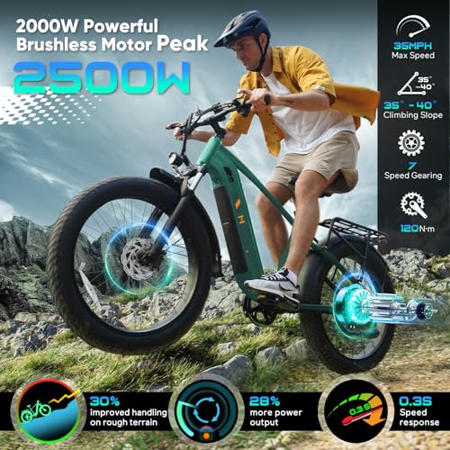 EB60 26" Fat Tire Electric Bike for Adults, 2000W Motor, 48V 20.8AH Battery R225