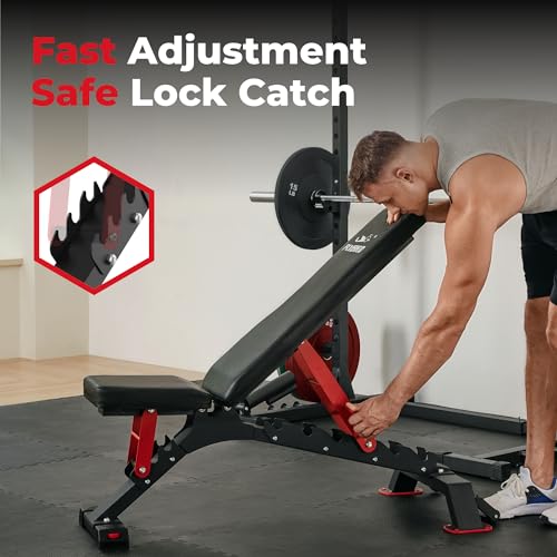 FLYBIRD Adjustable Weight Bench for Strength Training N4368