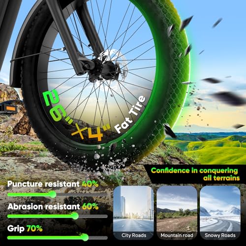 EB60 26" Fat Tire Electric Bike for Adults, 2000W Motor, 48V 20.8AH Battery R225