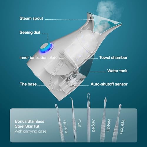 Pure Daily Care NanoSteamer Large 3-in-1 Nano Ionic Facial Steamer with Temp Control, Teal B192