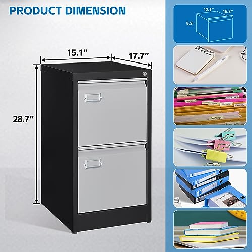 2 Drawer Vertical File Cabinet with Lock for Letter Size, Steel Office Storage Y50014